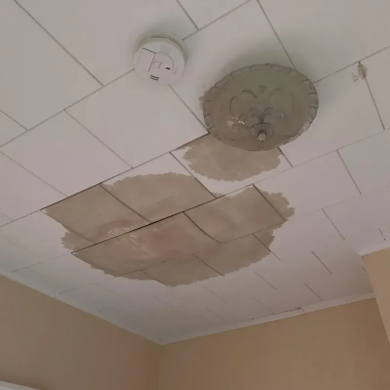 Ceiling Water Damage Repair in Charles Village, MD