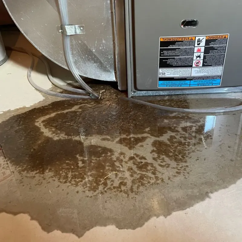 Pipe Burst and Leak Restoration in Charles Village, MD