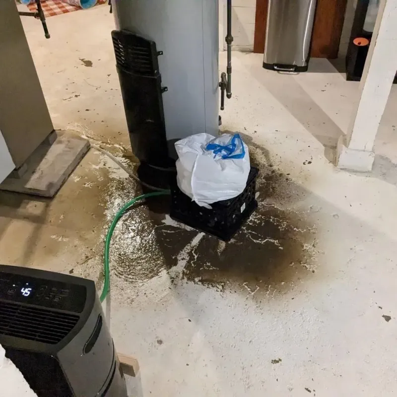 Sewage Backup Cleanup Service in Charles Village, MD